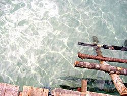 The cleanest sea water in the world!