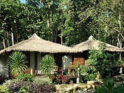 Beautiful landscaped tropical gardens on Bang Bao Beach