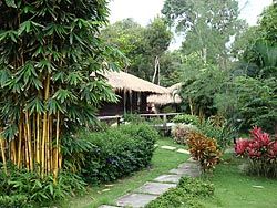Beautiful landscaped tropical gardens on Bang Bao Beach