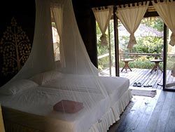 Enjoying a perfect view right from your bed