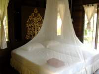 Well protected under the mosquito nets