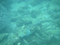 Further into the sea