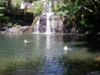 Klong Chao Waterfall on Koh Kood (Ko Kut) island