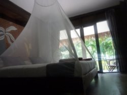 Well protected under the mosquito nets
