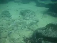 On the sea bottom